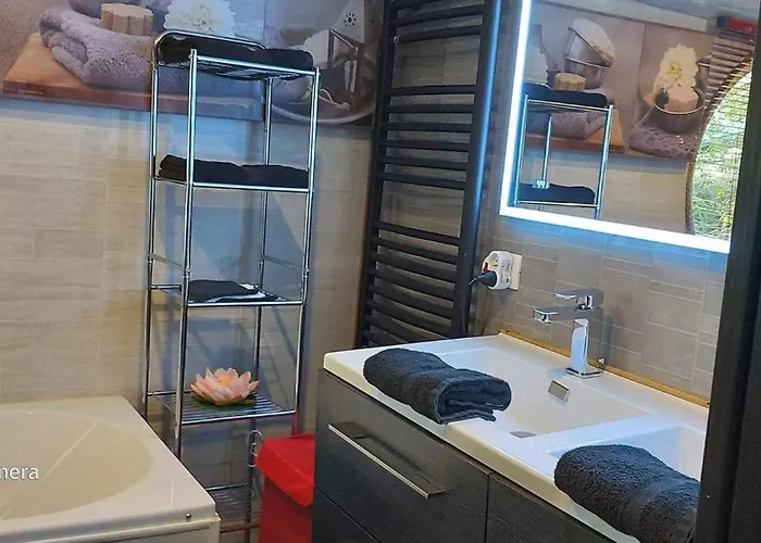 Sas Lès Bêtises Péniche Morgane 2 Cambrai